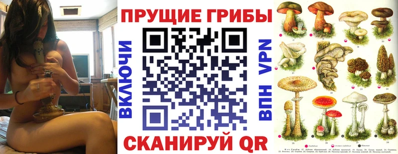 цены наркотик  Дмитров  Псилоцибиновые грибы Magic Shrooms 